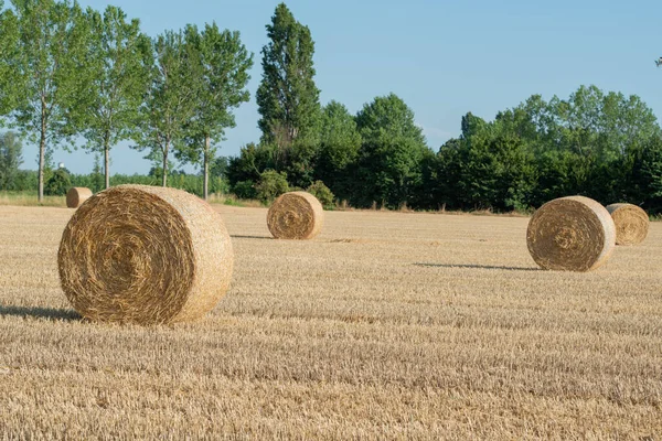 Haystacks Field Waiting Loaded Tractor — Stockfoto