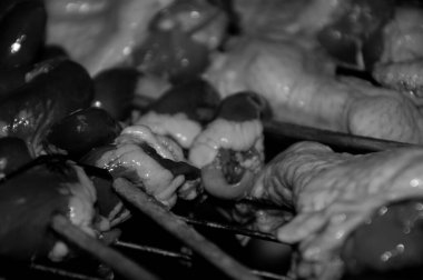 Izgarada tavuk şişi.