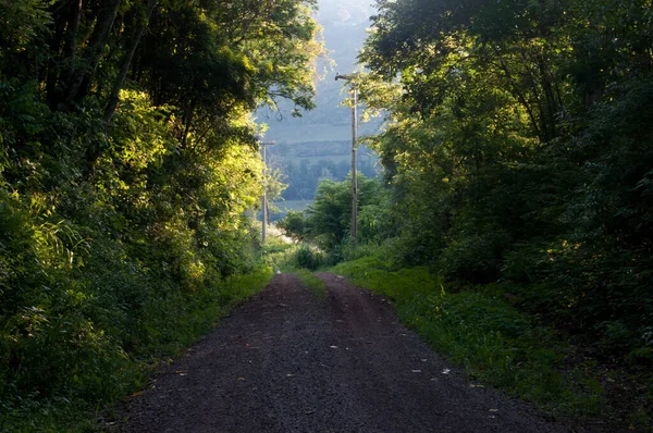 Дорога Сельской Местности Закате — стоковое фото