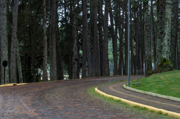 Bulutlu bir günde parktaki bir yolun fotoğrafı.