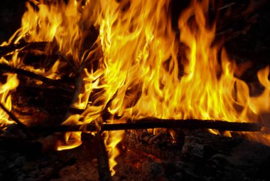 Bir kamp ateşinin fotoğrafı.