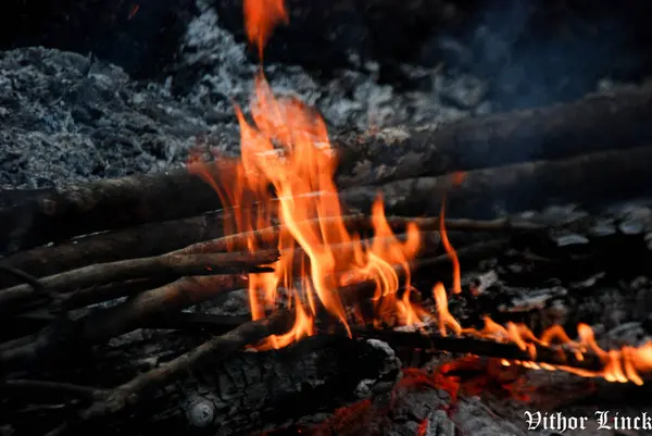 Bir kamp ateşinin fotoğrafı.