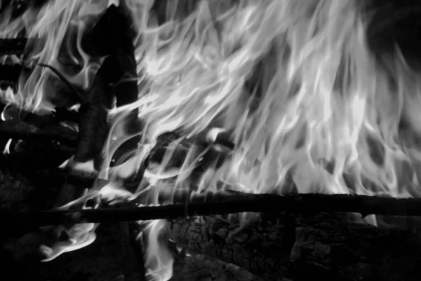 Photograph Campfire — Stock Photo, Image