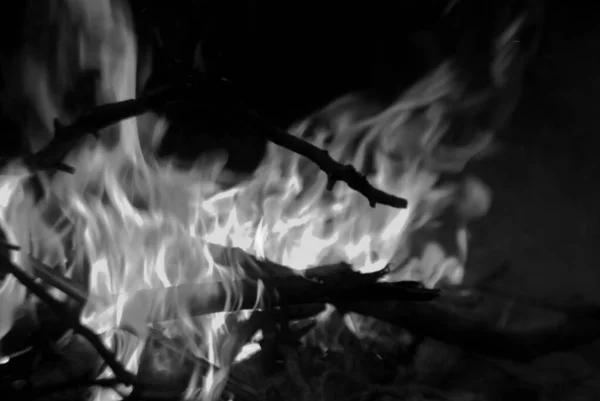 Bir kamp ateşinin fotoğrafı.