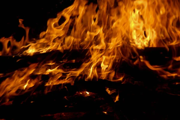 Bir kamp ateşinin fotoğrafı.