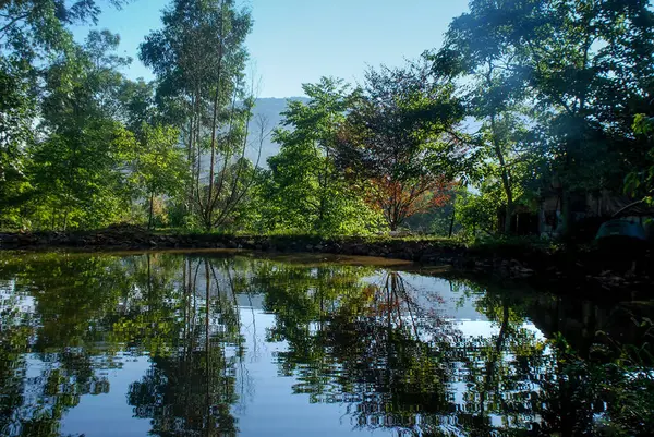 Şafakta gölde fotoğraf.