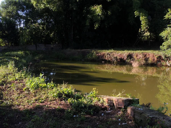 Şafak vakti bir gölün fotoğrafı.