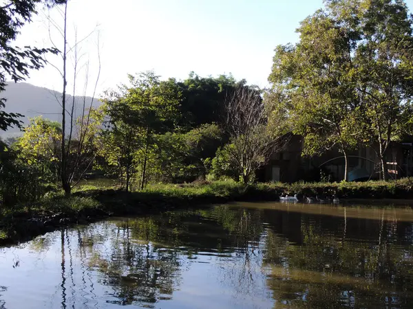 fotoğraf bir gölün şafağında