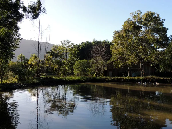 fotoğraf bir gölün şafağında