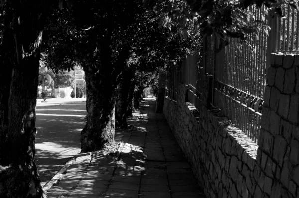 Black White Photograph Sidewalk Path —  Fotos de Stock