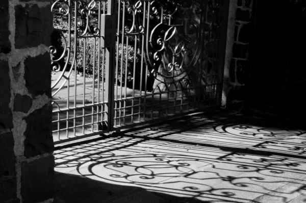 Shadow Photograph Black White Gate — Stok fotoğraf