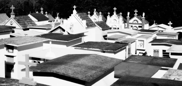 Black White Photograph Cemetery — Stok fotoğraf