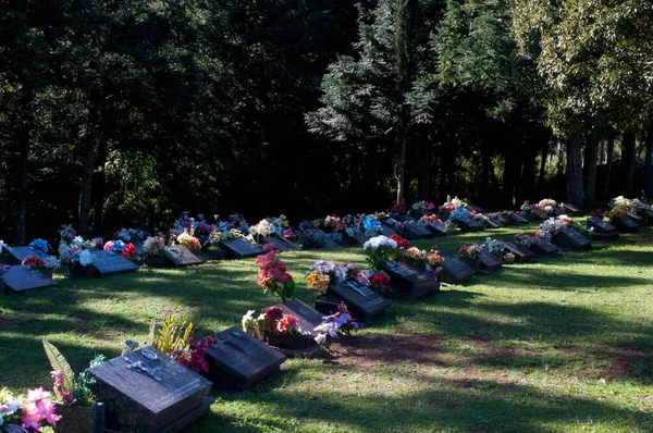 Mezarlıktaki çiçeklerin fotoğrafı.