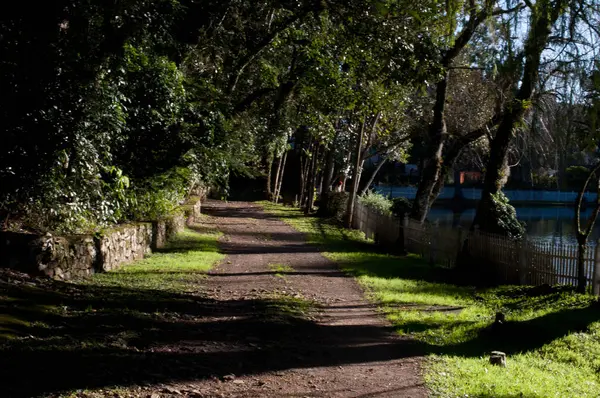 Park ormanındaki bir patikanın fotoğrafı. 