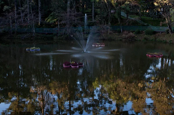 Güzel bir gölün ortasındaki çeşmenin fotoğrafı.
