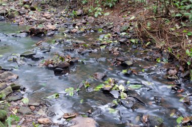 uzun pozlu bir akarsuyun fotoğrafı