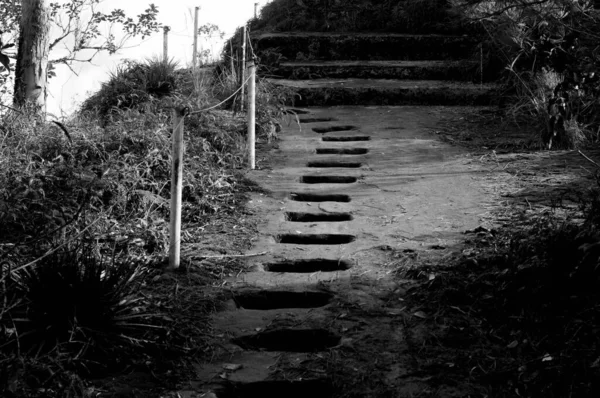 Black White Photograph Path Stones —  Fotos de Stock