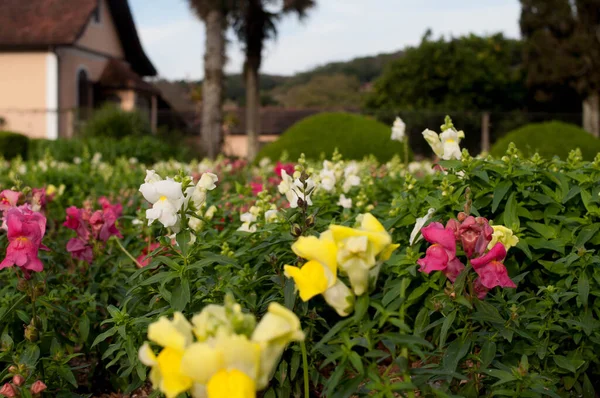 Photograph of a garden in the square