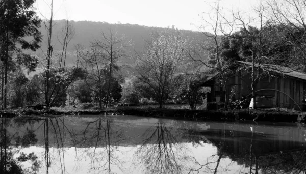 black and white lake photography
