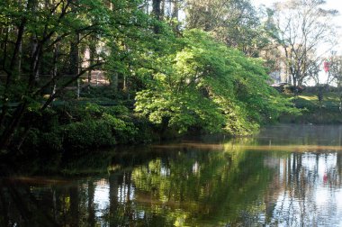 Photograph of a lake on a beautiful day