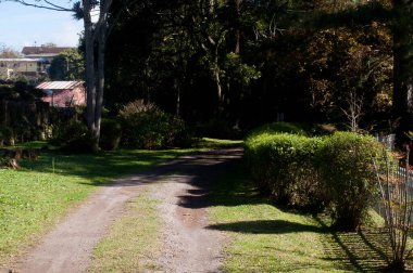 Parktaki bir patikanın fotoğrafı