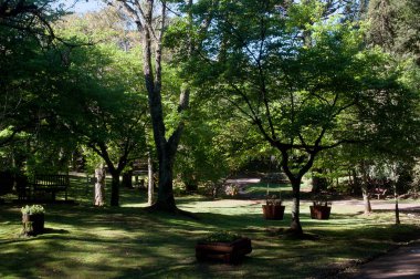Park path photography on a beautiful day