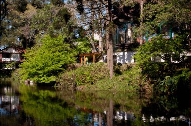 Photograph of park lake on a beautiful sunny day