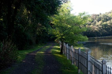 Park path photography on a beautiful day