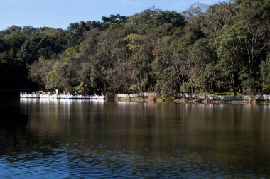 Photograph of park lake on a beautiful sunny day