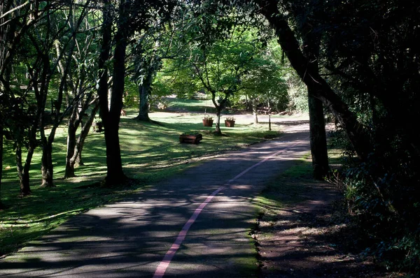 Park path photography on a beautiful day