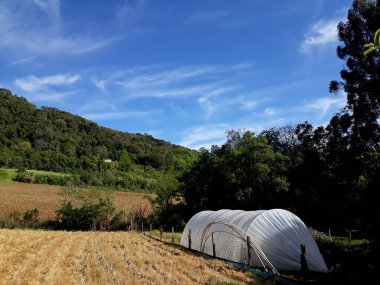 Tarladaki bir tuvalin fotoğrafı.