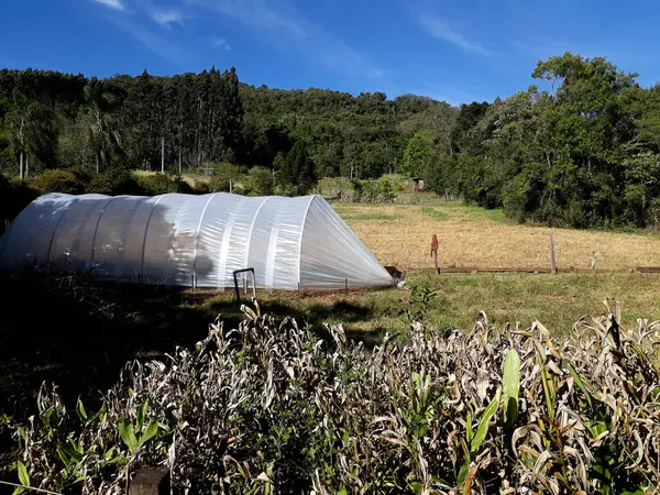 Tarladaki bir tuvalin fotoğrafı.