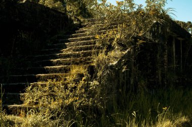 Harabelerde terk edilmiş bir kumarhanenin fotoğrafı.