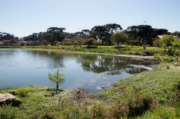 Photograph of a lake on a beautiful day