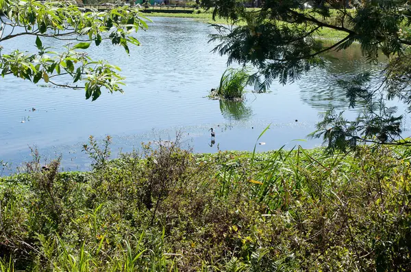 Photograph of a lake on a beautiful day