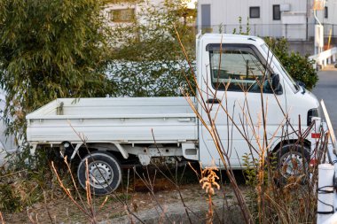 Yol kenarındaki çalıların yanına park etmiş küçük kei kamyonu.