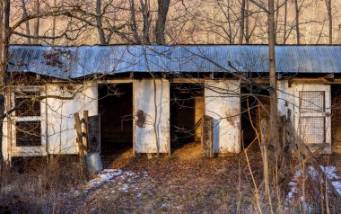 Ormandaki boş ahıra kapıları açın.