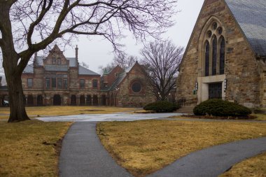 Üniversite binalarına giden yol kuru çimenlerin arasından geçiyor