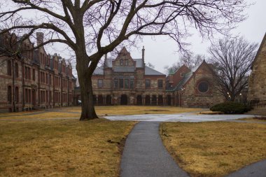 Üniversite kışı boyunca çıplak ağaç.