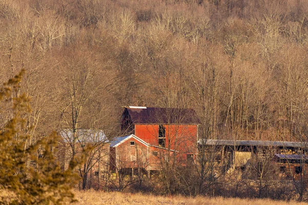 Granero rojo grande junto a casa de campo rodeado de bosques secos — Foto de Stock