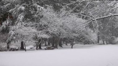 Kuzeydoğu bölgesinin tarihi topraklarında kar yavaşça yağıyor.