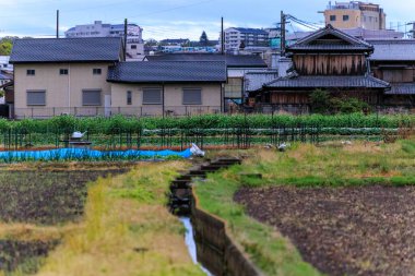 İkamet alanındaki tarlalardan geçen küçük sulama kanalı