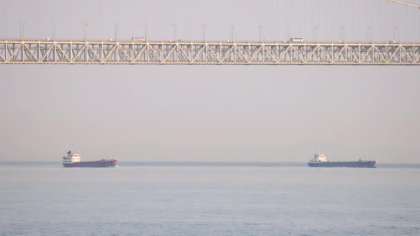 Two unloaded cargo ships sail under high bridge — стоковое видео