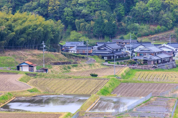 Flooded and dry rice fields next to small farming neighborhood — Photo