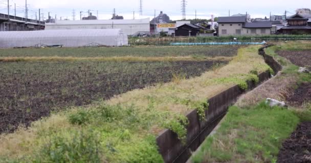 Smal kanal mellan tomma fält och växthus på landsbygden — Stockvideo