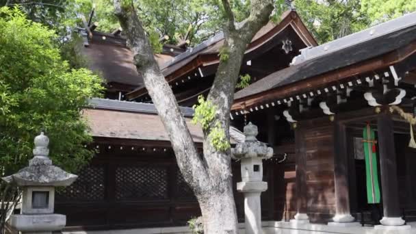 Traditional Japanese wooden architecture at shrine in forest — Stock Video