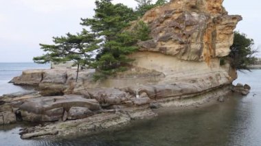 Eshima Adası 'nda efsanevi bir önemi olan eskimiş kayalar ve çam ağaçları yukarı doğru eğilmektedir.
