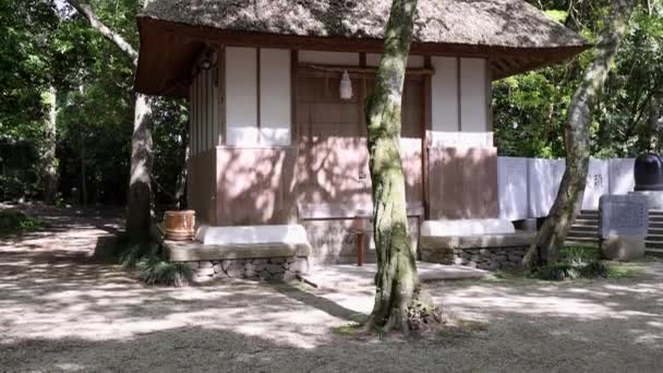 Tilt up on small traditionally built storage shed with thatched roof in woods — Vídeo de stock