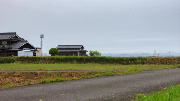 Timelapse pan across farmhouse and cabbage field in Japanese countryside on rainy grey day — стоковое видео