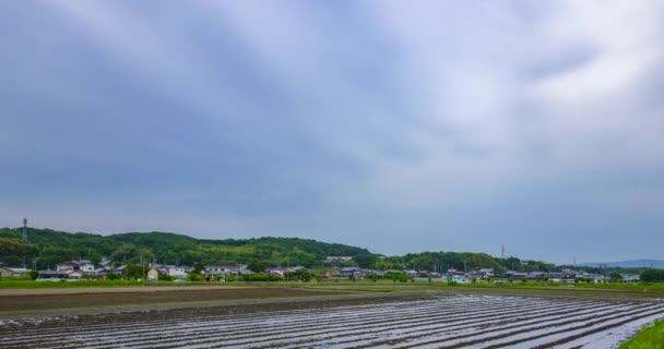 Timelapse zachmurzonych chmur poruszających się nad nawadnianymi rzędami w polu na małej farmie na japońskiej wsi — Wideo stockowe